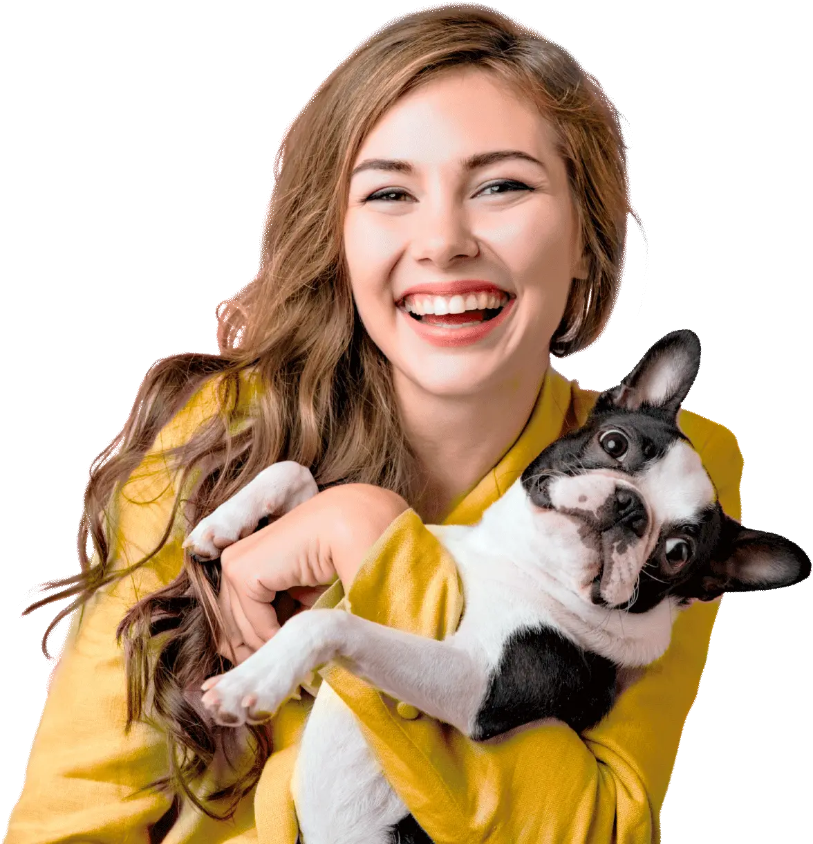 Pró Gatos - Clínica Especializada em Felinos - 24 horas